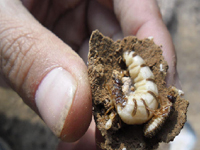 祝賀康凈公司通過(guò)ISO9001:2008質(zhì)量管理體系認(rèn)證