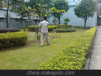 南寧第45屆體操世界錦標(biāo)賽主賽場(chǎng)、訓(xùn)練場(chǎng)病媒生物防制工作